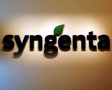 краставици Македон F1